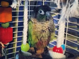 Hi!!