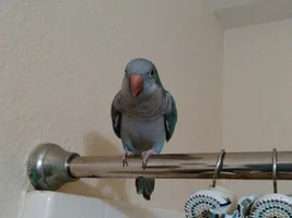 hello all!!!