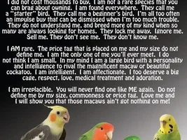 What bird is most suitable for me - and to which bird am I suitable?