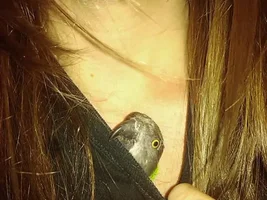 Question about my senegal (long post)