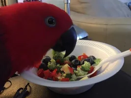 I'll eat it if you eat with me