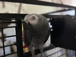 First vet visit!!