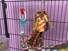 Fresh new cage setup!