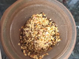 Sprouting small quantities of seed