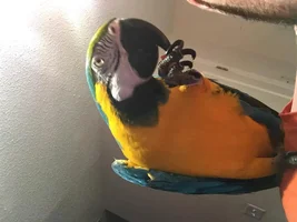 Meet Curtis!