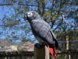 Slater enjoying being outside