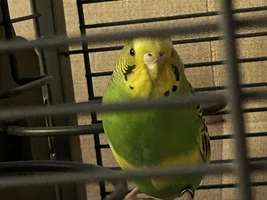 Unexpected new addition