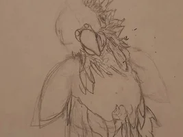 I can do art of your bird :)
