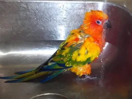 Pics of my sun..Chico