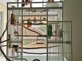 April POTM Contest