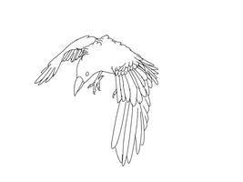 Zoru’s art thread! :)