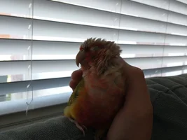 1 year update of my precious baby Toby