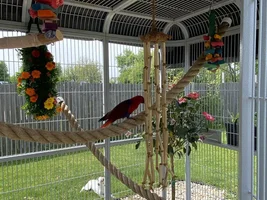 Cage for Out Doors
