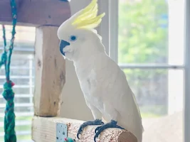 Water Bowl Hacks??
