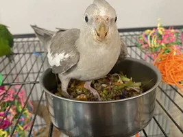 Some photos of Hercules and Pearly