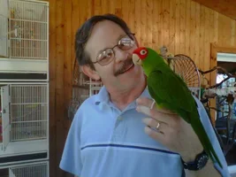 I am here to introduce myself...our new cherry headed conure rodeo red..and my hubby