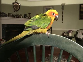 My Son Passed Yesterday