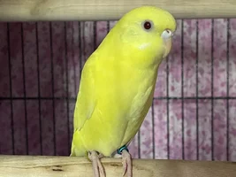 New baby!
