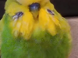 Share a quick picture