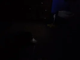 I just discovered Aster sleeping...