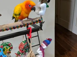 Ollie's Christmas themed play stand (PICS)