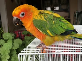 My Son Passed Yesterday