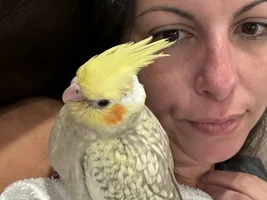 Gender help!