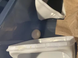 Third egg, third location. What to do? Please help!