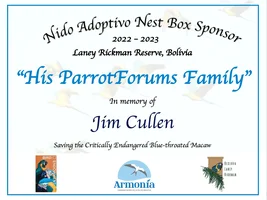 Donations in Memory of Jim (AmyMyBlueFront)