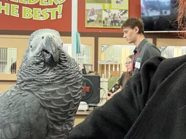 Said hi to my pet store friend