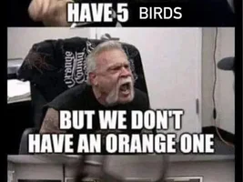 The best Bird meme!!