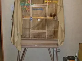 Cage size too small?