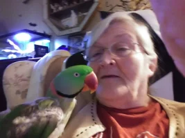 Alexandrine Need help