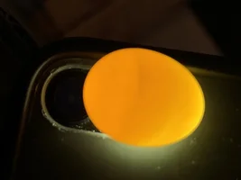Remove eggs? And update!