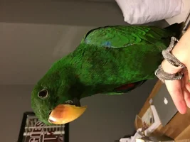 Sully Update