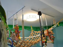 cool  way to hang toys