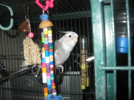 Domnijoe - The Art Studio and Bird Herder's Residence