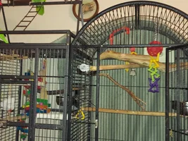 Cage Inspiration?