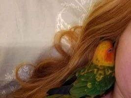 Hello everyone!