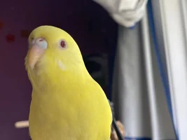New baby!