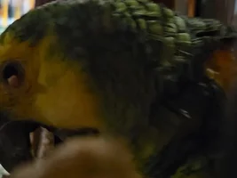 My Amazons eye is odd