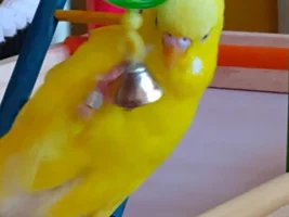 New here