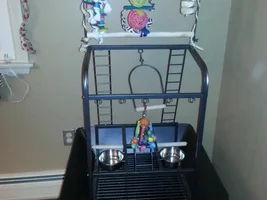It's here! With pics!