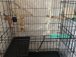 Cage Set Up - Needs and Musts