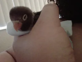 New Addition to the Family! =D