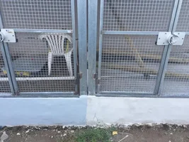 Yellow nape amazon cage recomendation?