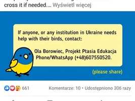 Vet offers help for parrots in Ukraine