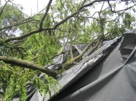 Tropical Storm Iasais..
