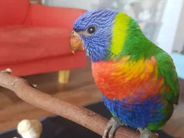 Advice please