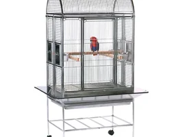 Stainless Steel Cage Question for Green Cheek Conure